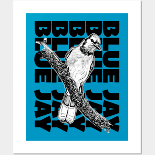 Blue Jay Posters and Art